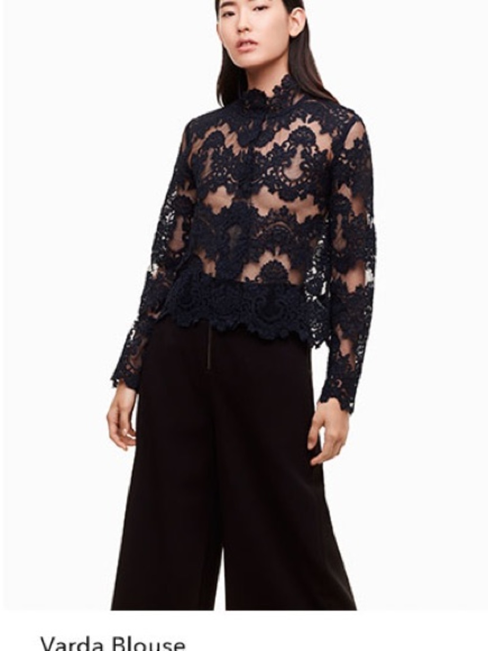ARITZIA Babaton 1-01 Varda Lace High-Neck Blouse
